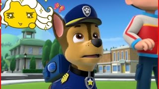 Щенки спасают выпавший зуб