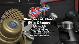 Monsters of Alnico Speaker Shootout -Gain Channel- Celestion Gold, EJ-1250, Scumnico, Blackbird