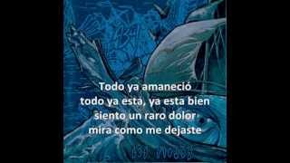 Los Piojos - Go negro go (Con letra)