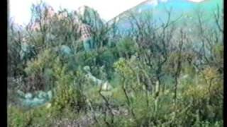 Γιώργης Χριστοφιλάκης στα Λημέρια του Μητσιούλια.