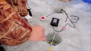 Зимняя ловля чебака