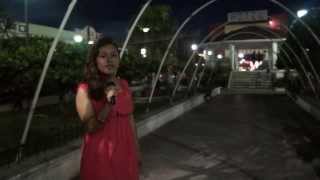 Gutiérrez Zamora (Documental)