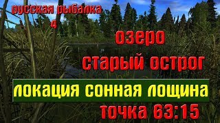 Русская рыбалка 4(рр4) - озеро Старый острог. Локация Сонная лощина.