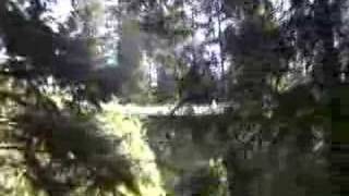 capilano bridge