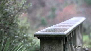 The sound of Rain   Natural Sounds