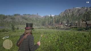 Red Dead Redemption 2 Испытание:Мастер оружия-2