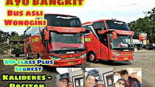MULAI BANGKIT!! Bus Sedya Mulya Kalideres-Pacitan Vip class