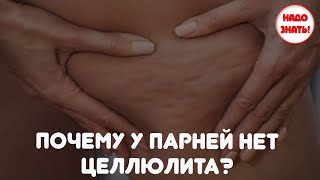 Почему у парней нет целлюлита?