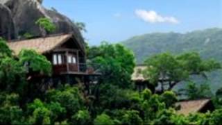 Earthly Paradise Bird Nest Resort
