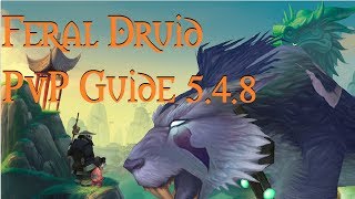 WoW 5.4.8: Feral Druid PvP Guide - Talents/Glyphs/Macros/Rotation/Gems/Reforge/Reforging 5.4