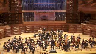 R.V. Williams: Concerto for Bass Tuba and Orchestra - I° mvt. - Igor Martinez