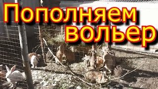 Пополняем вольер Обустройство вольера