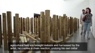 Installations by Roman Signer - Artist Video