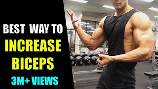 GET BIG BICEPS (डोले का साइज़ बढ़ाएं) 100%GUARANTEE [HINDI]