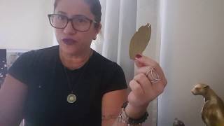 Dicas de Sucesso, Prosperidade e Proteção com as folhas de Louro