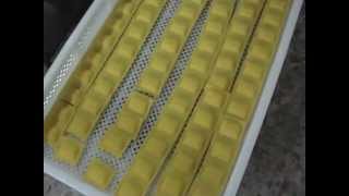 Máquina para fabricar Pastel Ravioli mod. RN/80