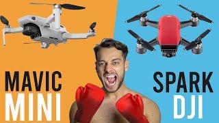 ⚔️Mavic Mini Vs DJI Spark ( FULL COMPARISON) Footage, noise, range and more
