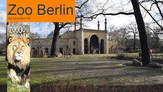 Zoo Berlin 2016