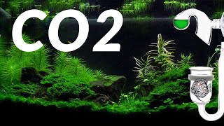 Aquarium CO2 - Verwen je aquariumplanten - Complete CO2 uitleg // Aquarium Sunshine's Valley