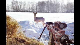 Как охотиться на косулю зимой без собаки? Как приманить косулю зимой?  Часть 1