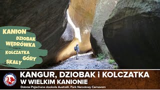 Dookoła AUSTRALII |Etap 02| Kangur, dziobak i kolczatka | Dobrze Pojechane