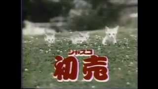 【ローカルCM】ジャスコで会いましょ【長野】