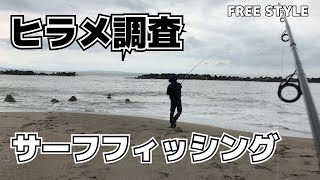 サーフフィッシングでヒラメ！宮城県石巻市