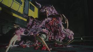 Resident Evil 2 Remake - Claire B Hardcore - Birkin Train Platform Boss - Fast Kill - No Damage