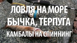 МОРСКАЯ РЫБАЛКА во ВЛАДИВОСТОКЕ. ЛОВЛЯ РЫБЫ ТЕРПУГ, КАМБАЛЫ, БЫЧКА на СПИННИНГ