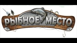 Рузское водохранилище,  деревня Овсяники (встреча с Петровичем) 22 января 2017г.
