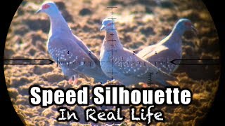 40 Pigeons in 8 Minutes - Speed Silo in Real Life!