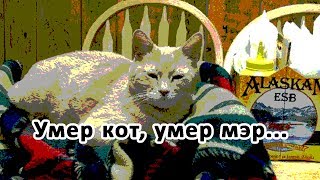 Умер кот, умер мэр...