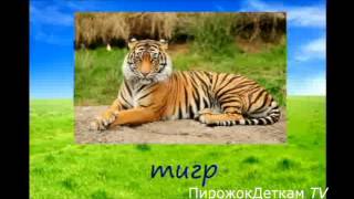 Дикие животные