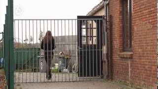 Undercover in Nederland; Aflevering 100