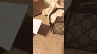 New 2018 Gucci Ophidia Supreme crossbody