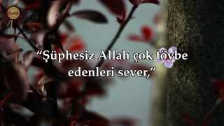 Bakara Suresi - Ebubekir Şatıri