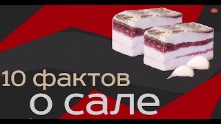 Сало (Шпик). 10 фактов