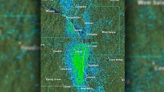 Massive Insect Orgy Big Enough To Be Seen on Radar