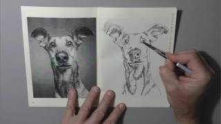 Carnet à dessins numéro 1 - 24 pages format A5 - page 9 " chien "