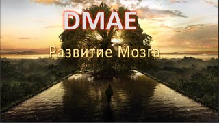 DMAE(ДМАЭ), Развитие Мозга!