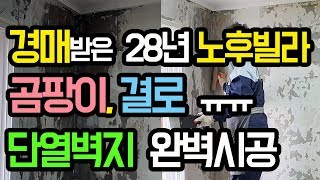 곰팡이제거, 단열벽지로 시공하다. 올수리 1달만에 경매로 받은 28년된 노후빌라 시공(곰팡이제거방법, 믿을만한 업체 고르는 팁)