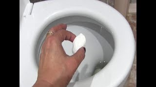 Как сделать шипучку для унитаза
