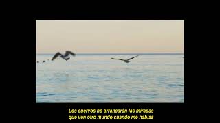 PABLO HASÉL - BATIENDO LAS ALAS (con letra)