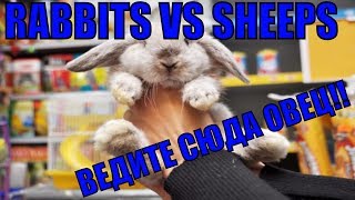 [Warcraft 3 TFT] БАЛАНС НЕ ЗАВЕЗЛИ? в КРОЛИКИ ПРОТИВ ОВЕЦ (Не 2кхаос)