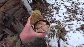 АБВГАТ-life и Сибирские кабаны с воздуха, березовый сок в апреле