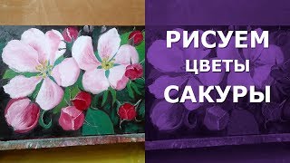 ? Как нарисовать цветы сакуры маслом