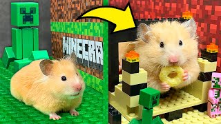 Hamsters in the Lego Minecraft Obstacle Course | Lego minecraft maze