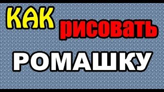 Рисование: Как нарисовать РОМАШКУ поэтапно (ДЛЯ НАЧИНАЮЩИХ). How to DRAW a chamomile?