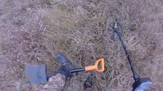 Поиск с Сорекс Про