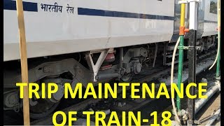 Trip Maintenance of Train-18/Vande Bharat Express Rake after Every Trip to Varanasi Station